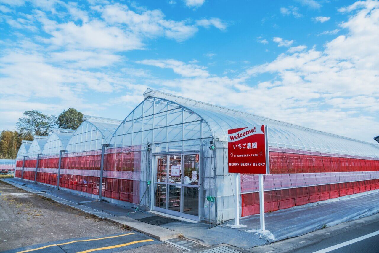 ベリーベリーベリー