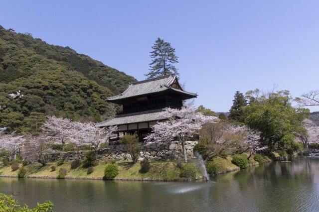 【岩国市】吉香公園
