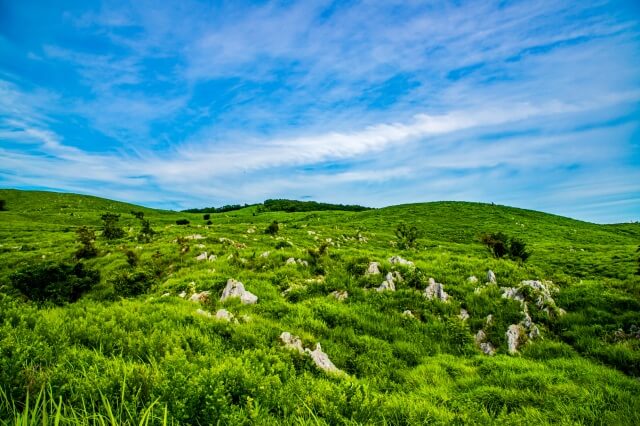 【美祢市】秋吉台カルスト展望台