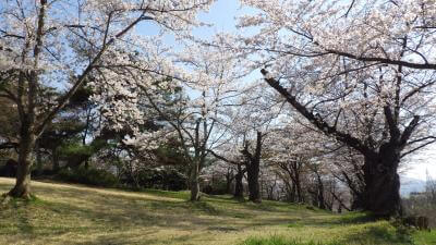 【上山市】みゆき公園