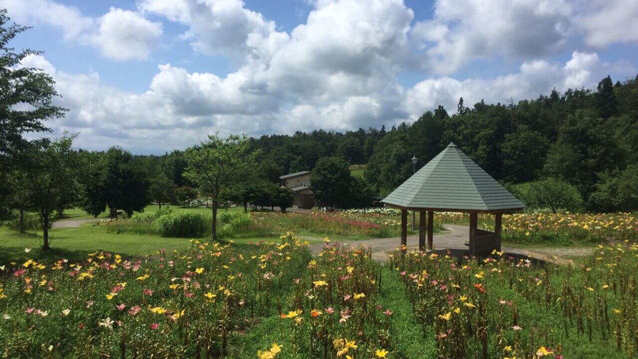 【飯豊町】いいでどんでん平ゆり園