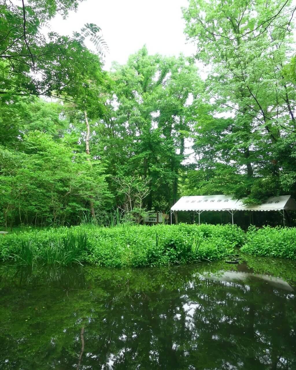 【京都市】京都御苑