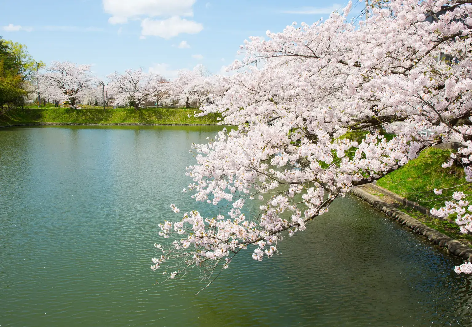 【新庄市】最上公園