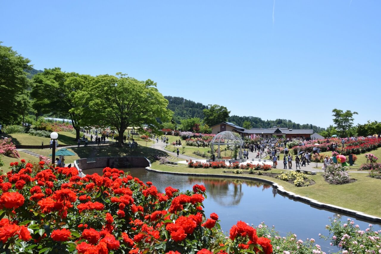 【村山市】東沢バラ公園