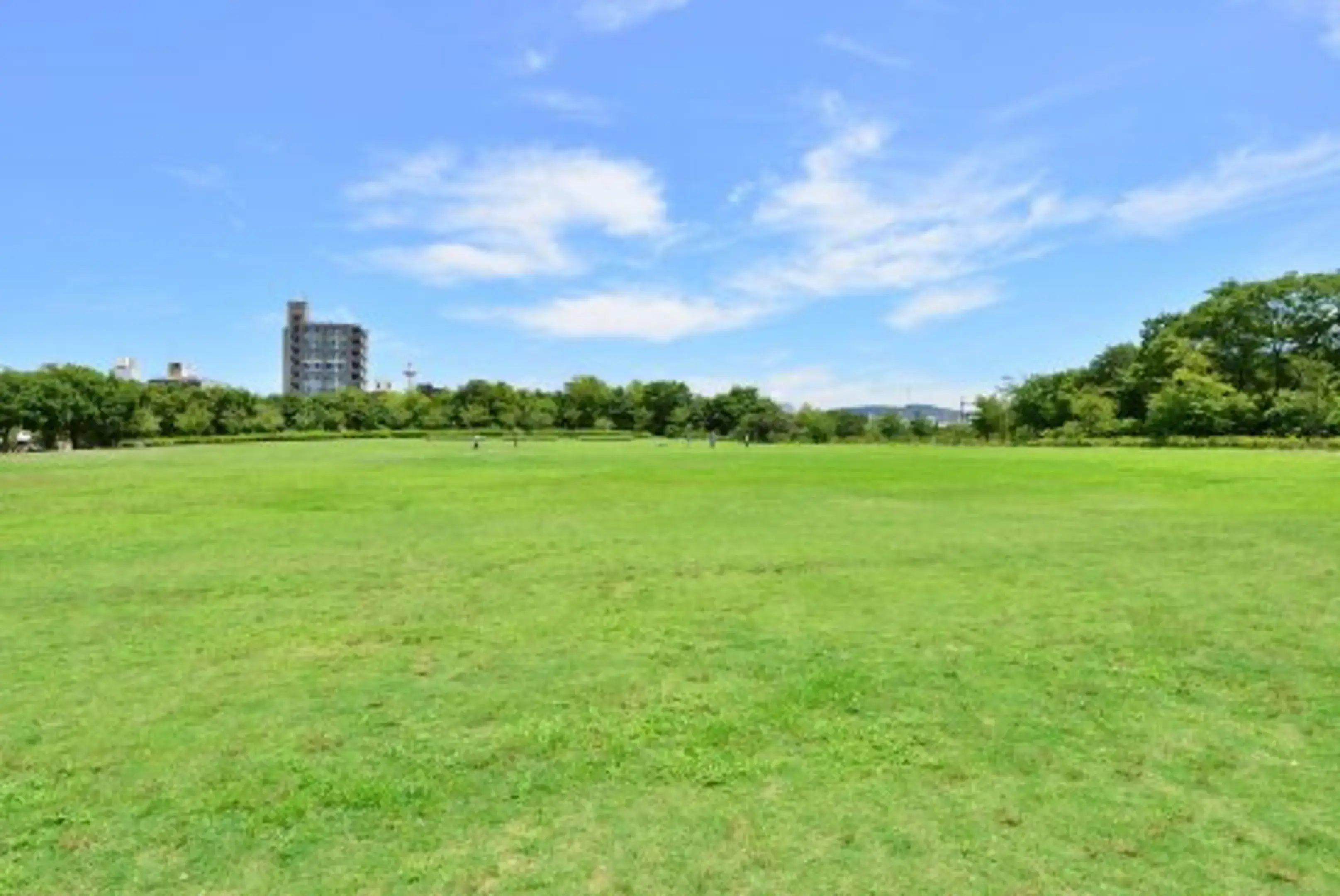 【京都市】梅小路公園