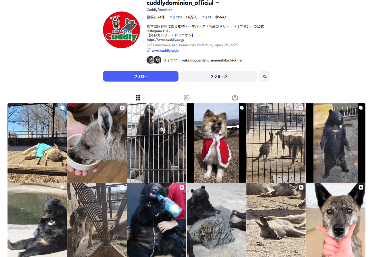 阿蘇カドリー・ドミニオン