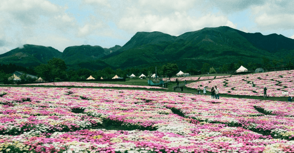 くじゅう花公園