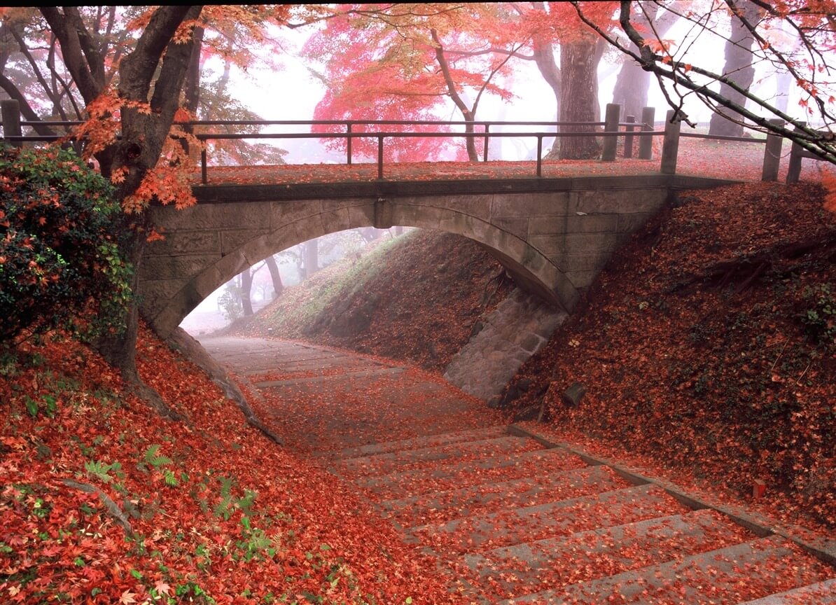 【南陽市】烏帽子山公園
