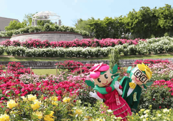 【鹿屋市】かのやばら園