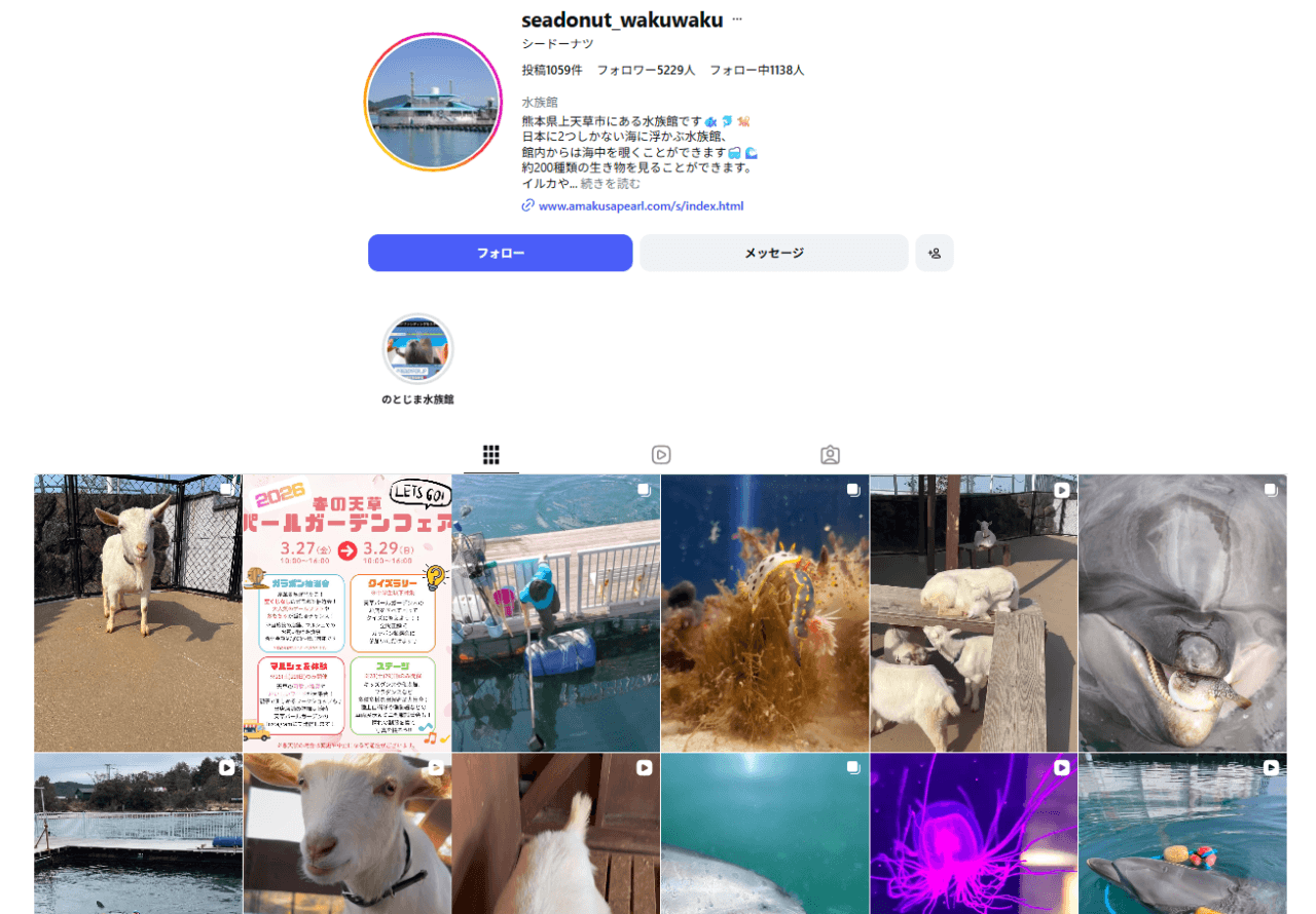 わくわく海中水族館シードーナツ