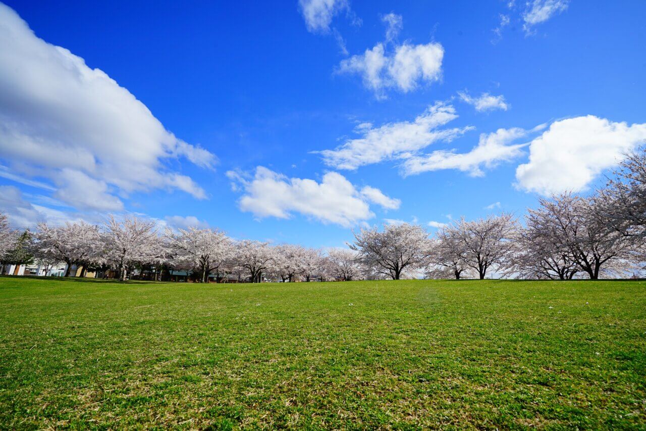 【八戸市】新井田公園