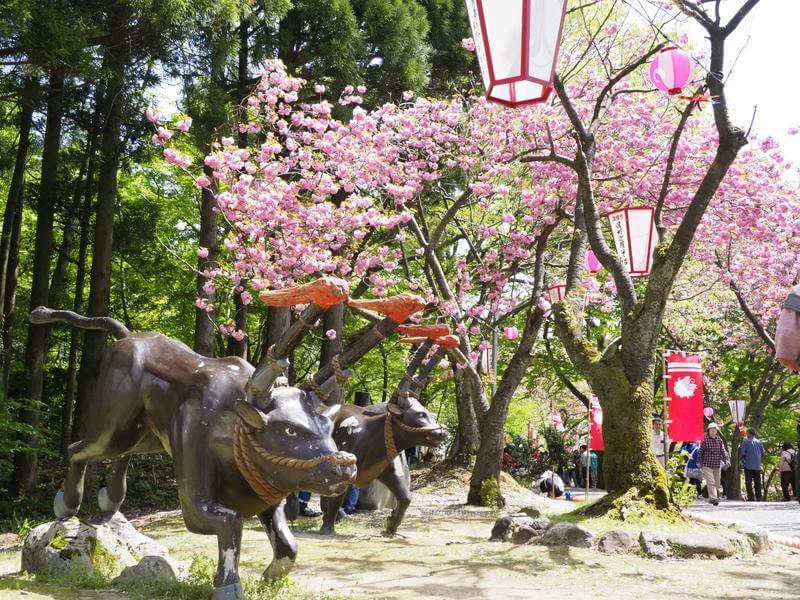 【小矢部市】倶利伽羅県定公園