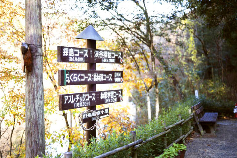 【伊予市】えひめ森林公園
