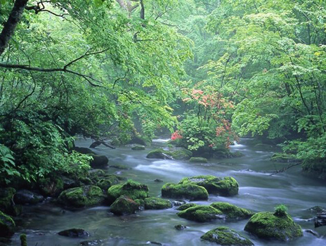 【十和田市】 奥入瀬渓流