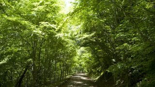 【神石郡】神石高原ティアガルテン