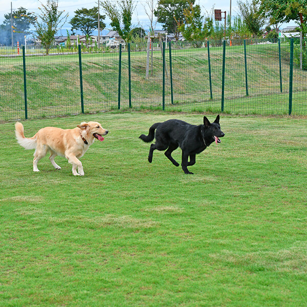 【甲良町】道の駅せせらぎの里こうら