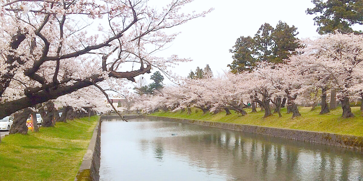 【鶴岡市】鶴岡公園