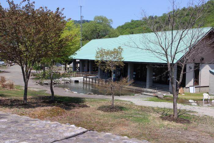 【鶴岡市】タキタロウ公園オートキャンプ場