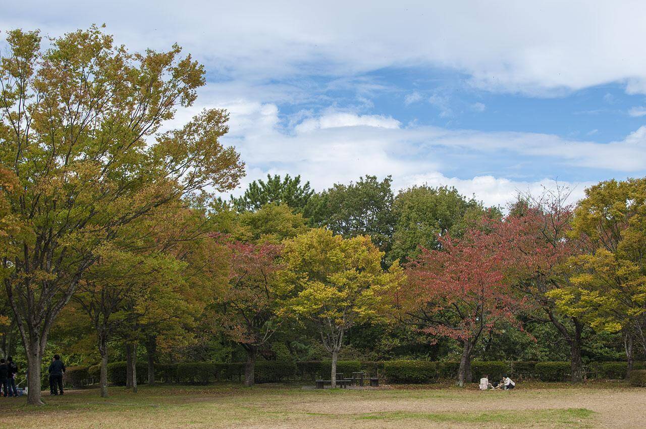 【秋田市】一つ森公園