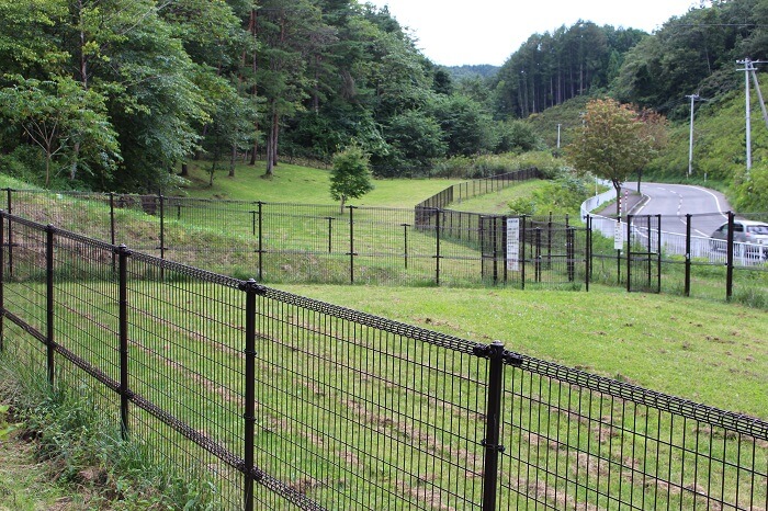 一戸総合運動公園ドッグラン