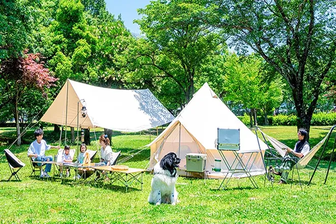 【米原市】グリーンパーク山東