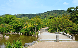 【京都市】円山公園