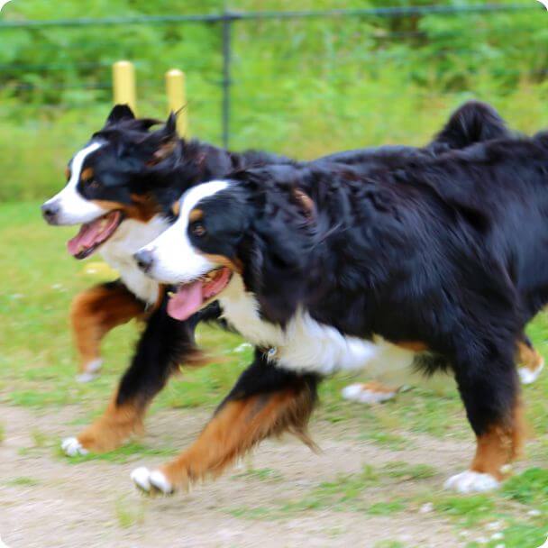 【京都市】嵐山–高雄パークウエイ
