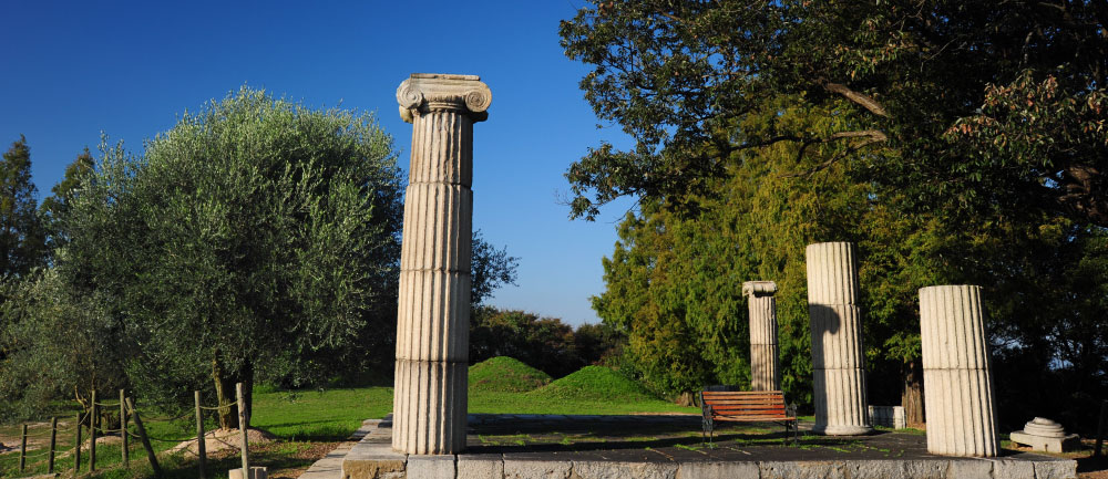 【瀬戸内市】牛窓オリーブ園