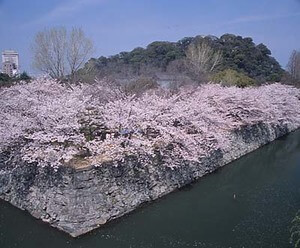 【徳島市】徳島中央公園