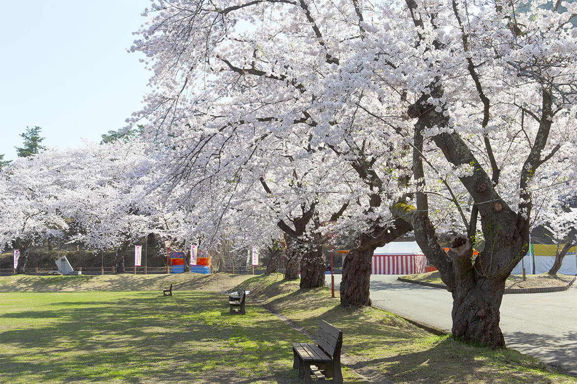 【横手市】真人公園