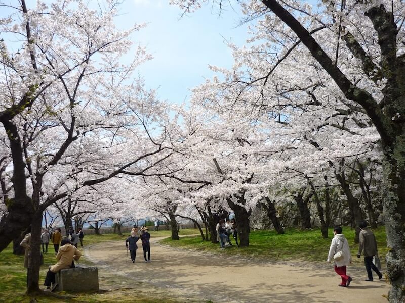盛岡城跡公園（岩手公園）