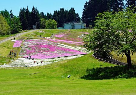 【横手市】大森公園