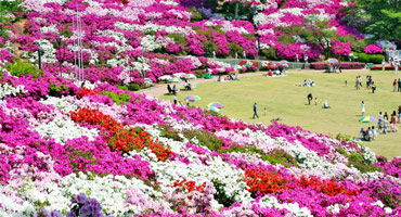 【鯖江市】西山公園