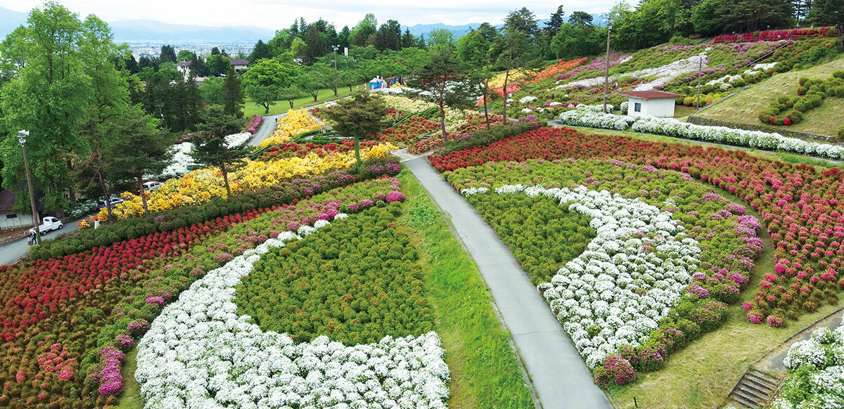 【寒河江市】寒河江公園