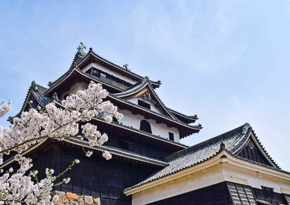 【松江市】松江城