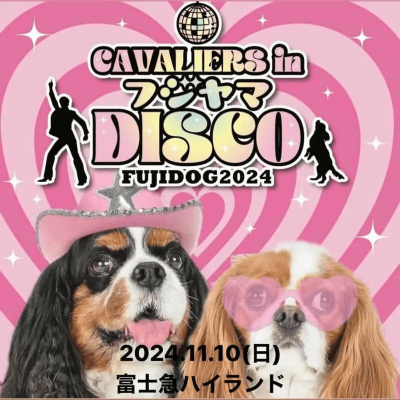 FUJI DOG 2024 ～CAVALIERS in フジヤマDISCO～