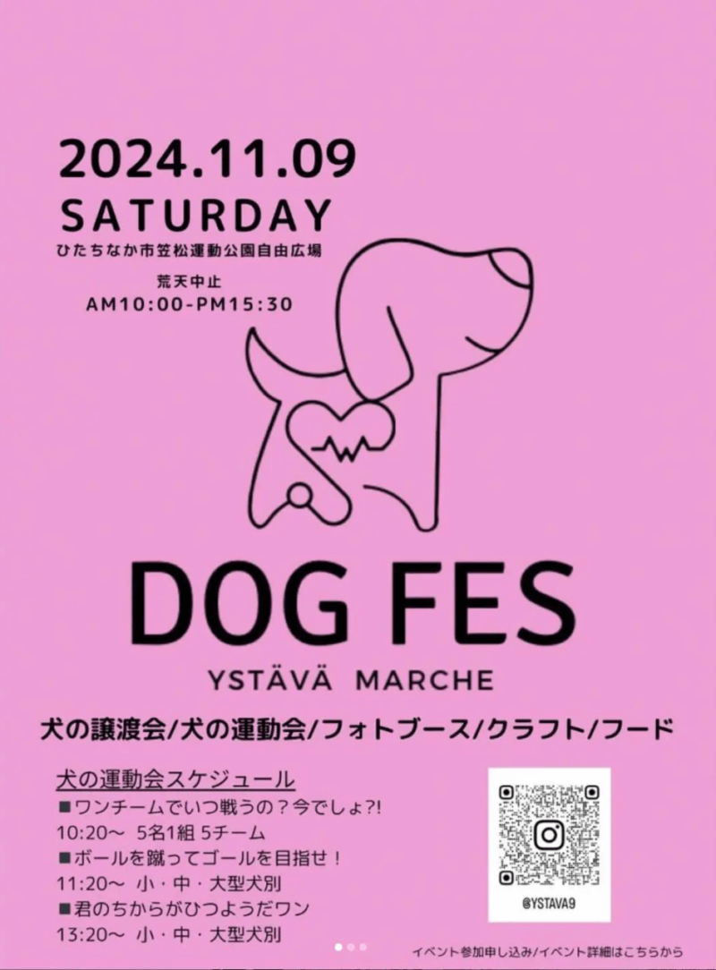 DOG FES ystävä Marche