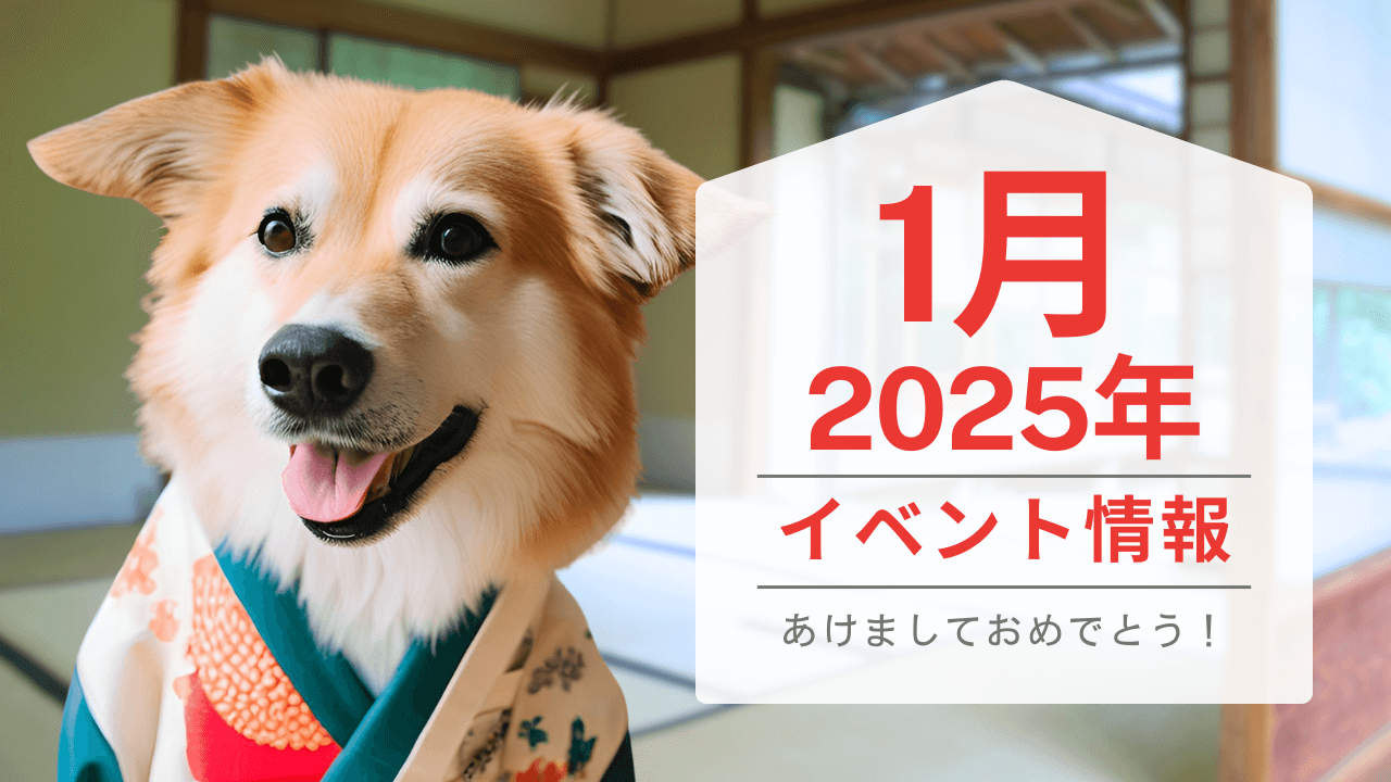 ハピプレメディストペット犬イベント情報2025/1