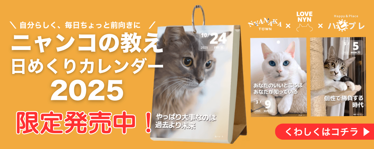 ニャンコの教え日めくりカレンダー限定販売中！