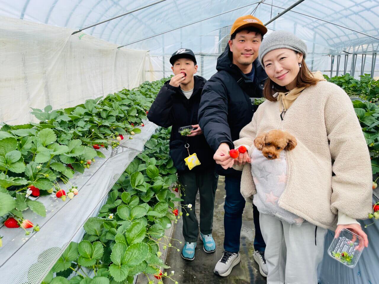 【山武市】小山ファーム