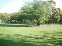 【柏市】柏の葉公園 ドッグラン