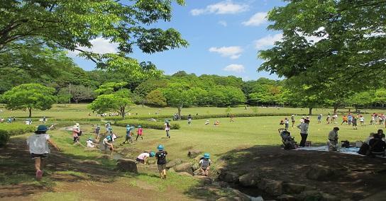 【松戸市】21世紀の森と広場