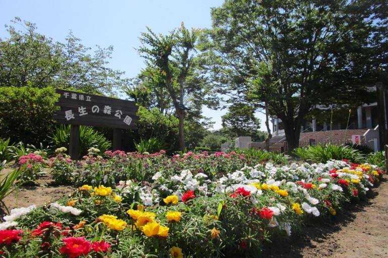 【茂原市】長生の森公園