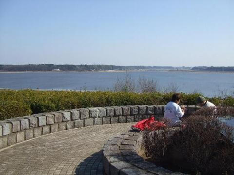 【印西市】印旛沼公園
