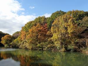 【八王子市】長池公園