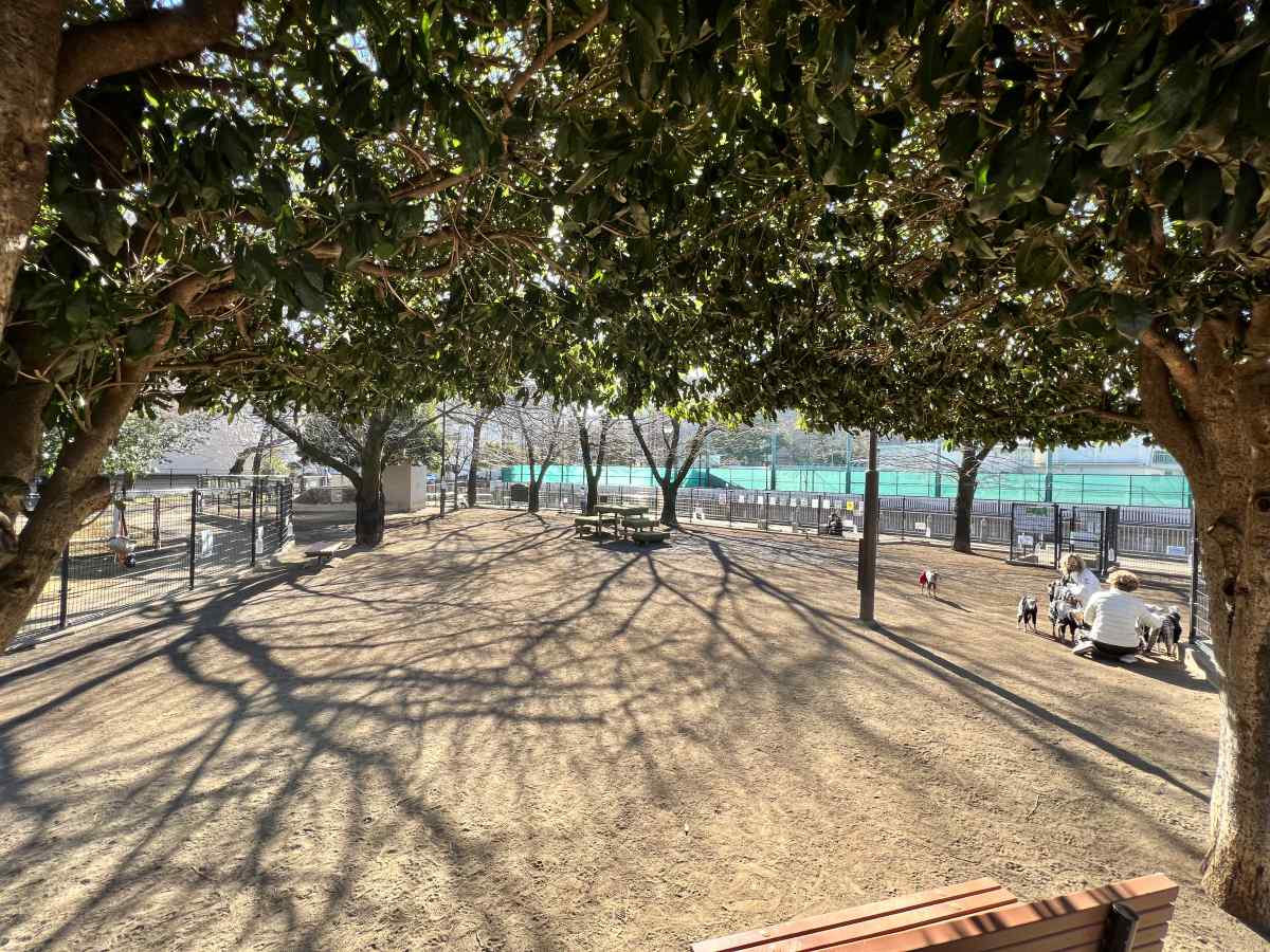 【新宿区】落合公園 犬の広場