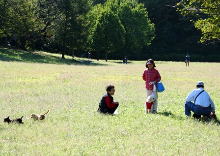 【練馬区】光が丘公園