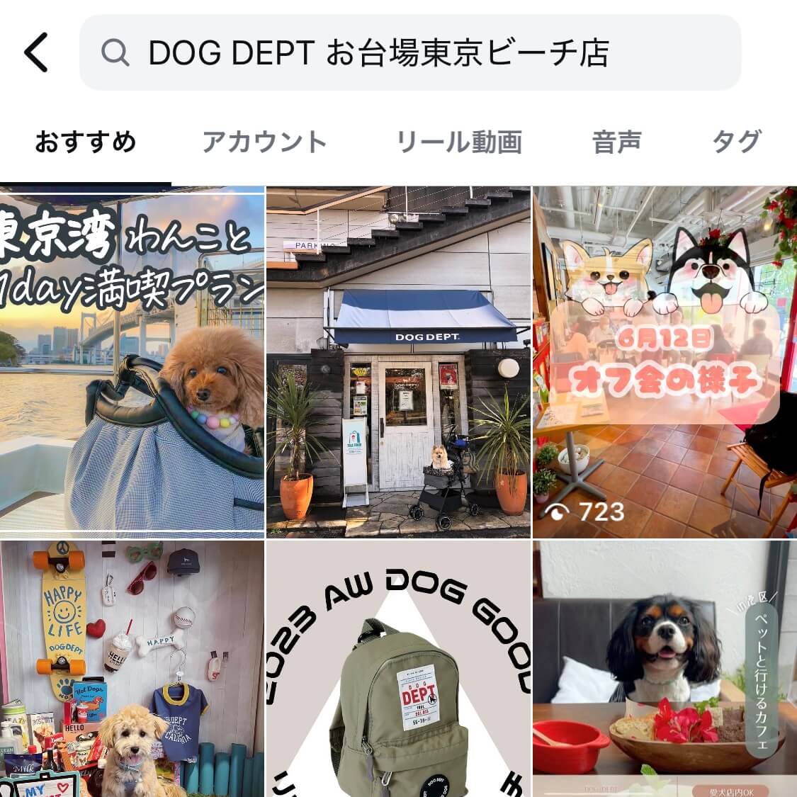 DOG DEPT お台場東京ビーチ店