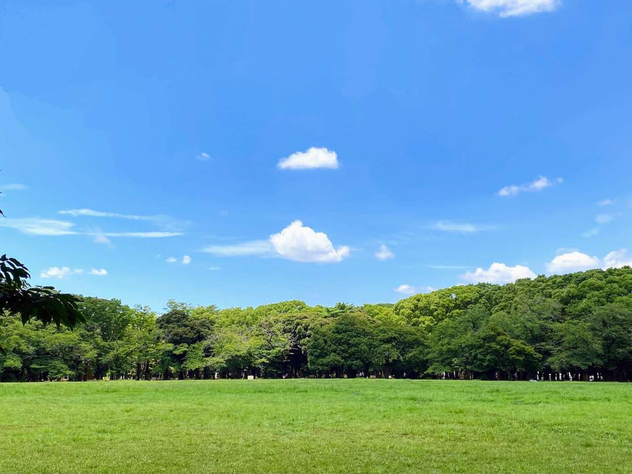 【渋谷区】代々木公園