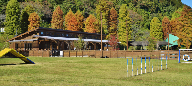 【あきる野市】わんダフルネイチャーヴィレッジ